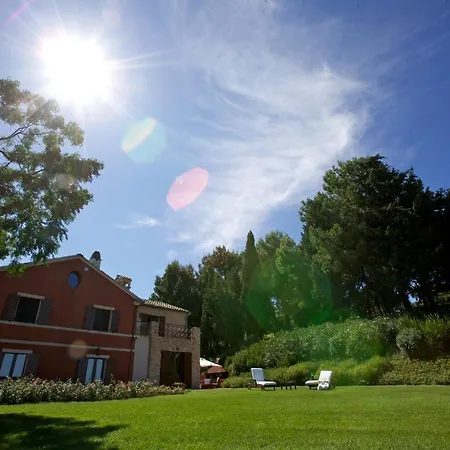 Adele 西尼加利亚