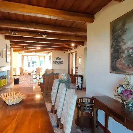 Adele 西尼加利亚